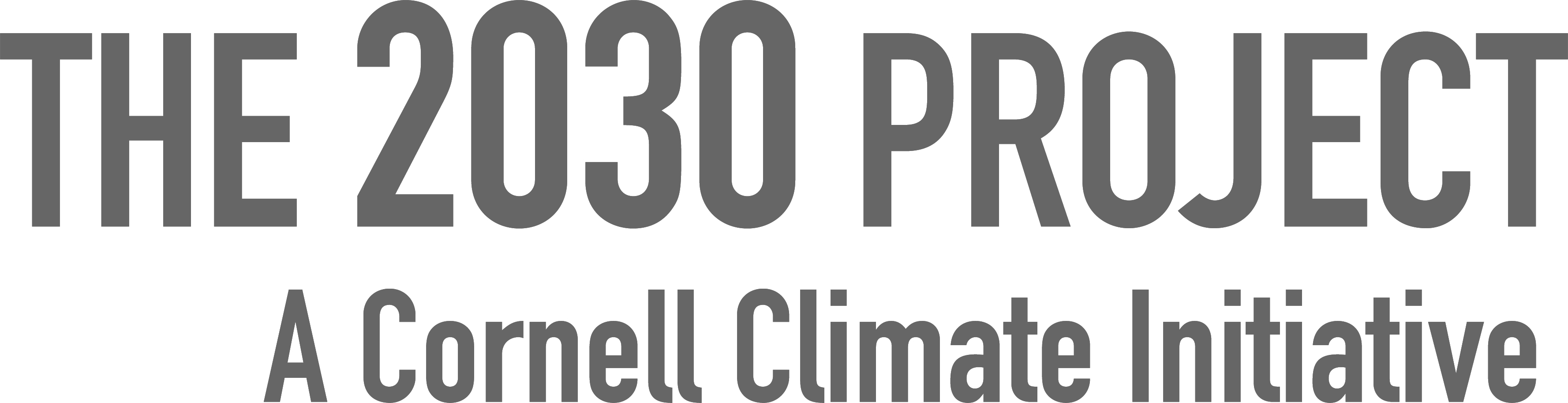 The 2030 project a cornell climate initiative logo